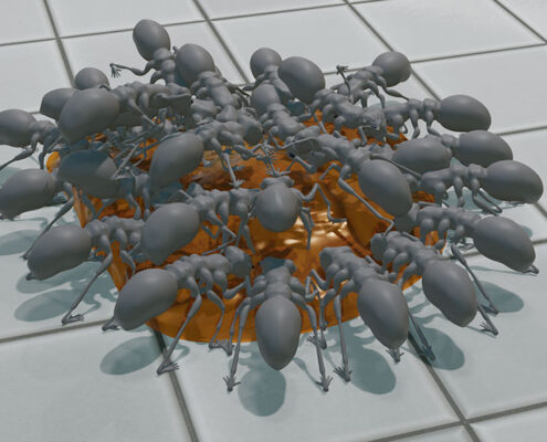 Human-Ant