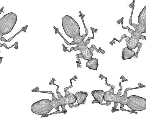 Human-Ant
