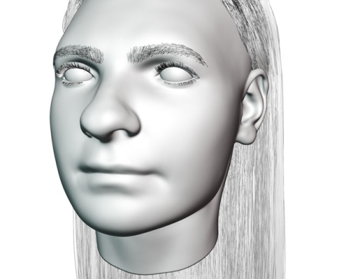 Digital reconstruction with hair particles