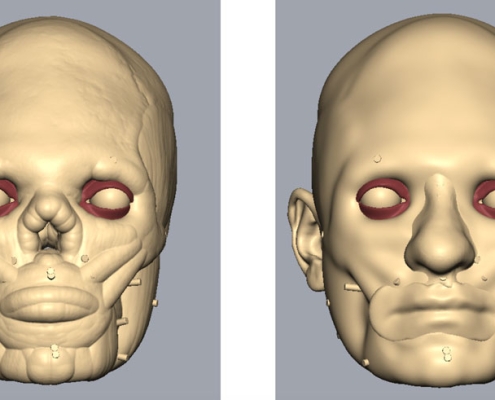 Image of the offset created in Freeform