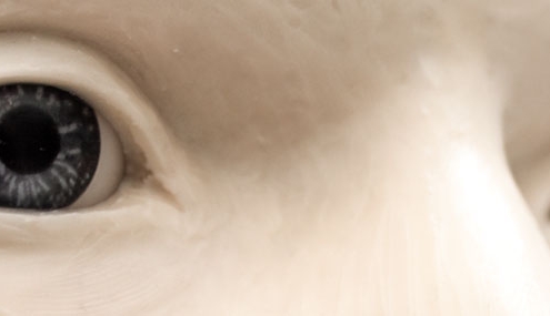 Detail of the eyes