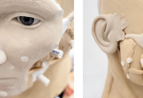 3D manual reconstruction with facial features from different angles