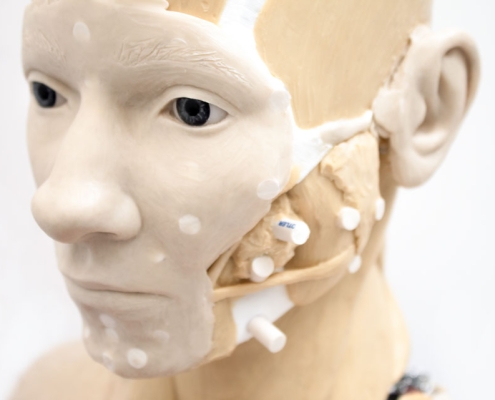 3D manual reconstruction with facial features