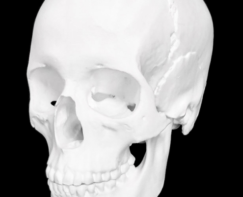 3D print of the skull from Franzhausen