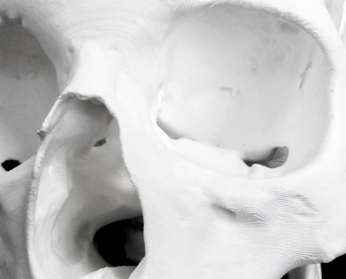 Detail of the 3D printed skull
