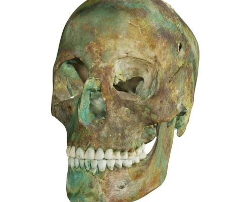 3D model of the skull from Franzhausen with texture